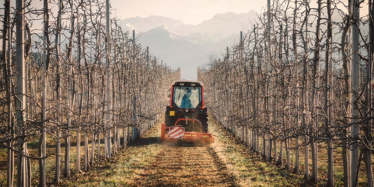 Melinda e xFarm Technologies puntano sull’agricoltura rigenerativa